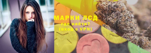 шишки Няндома