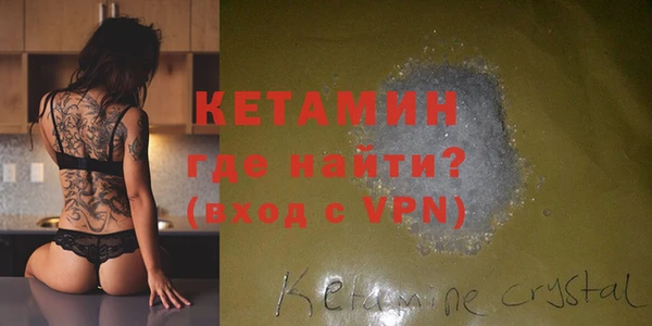 шишки Няндома