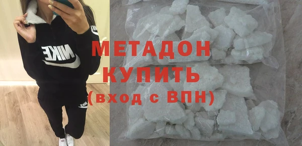 шишки Няндома