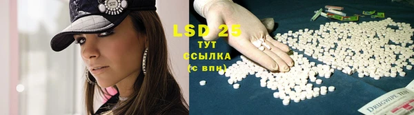 шишки Няндома