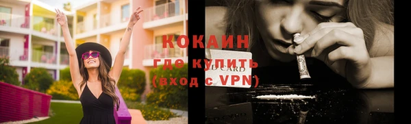 шишки Няндома