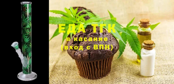 шишки Няндома