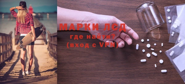 шишки Няндома