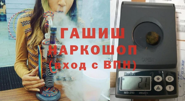 шишки Няндома