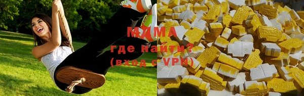 шишки Няндома
