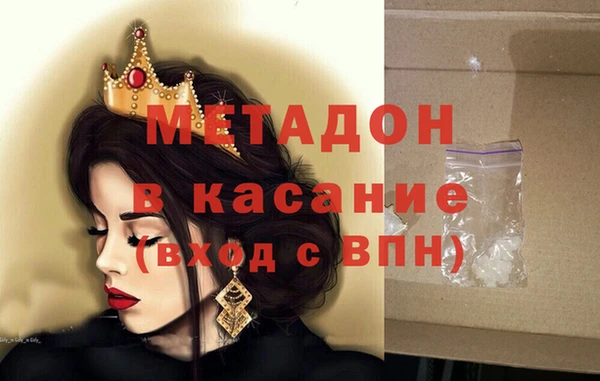 шишки Няндома