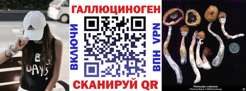 Псилоцибиновые грибы мухоморы  Бакал 
